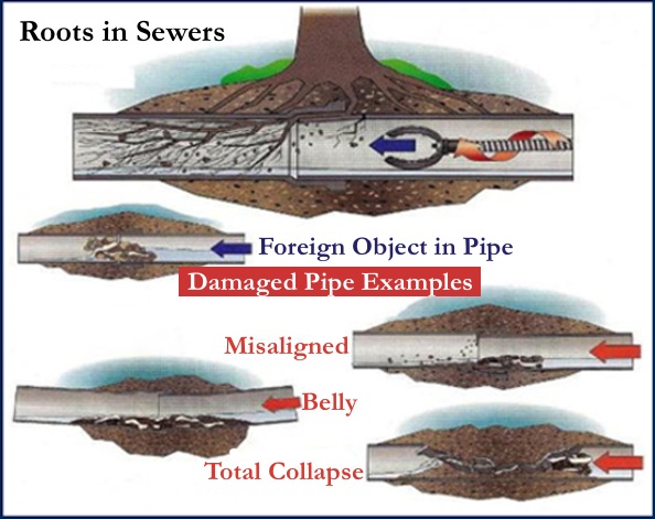 Sewer Line Repair Des Moines